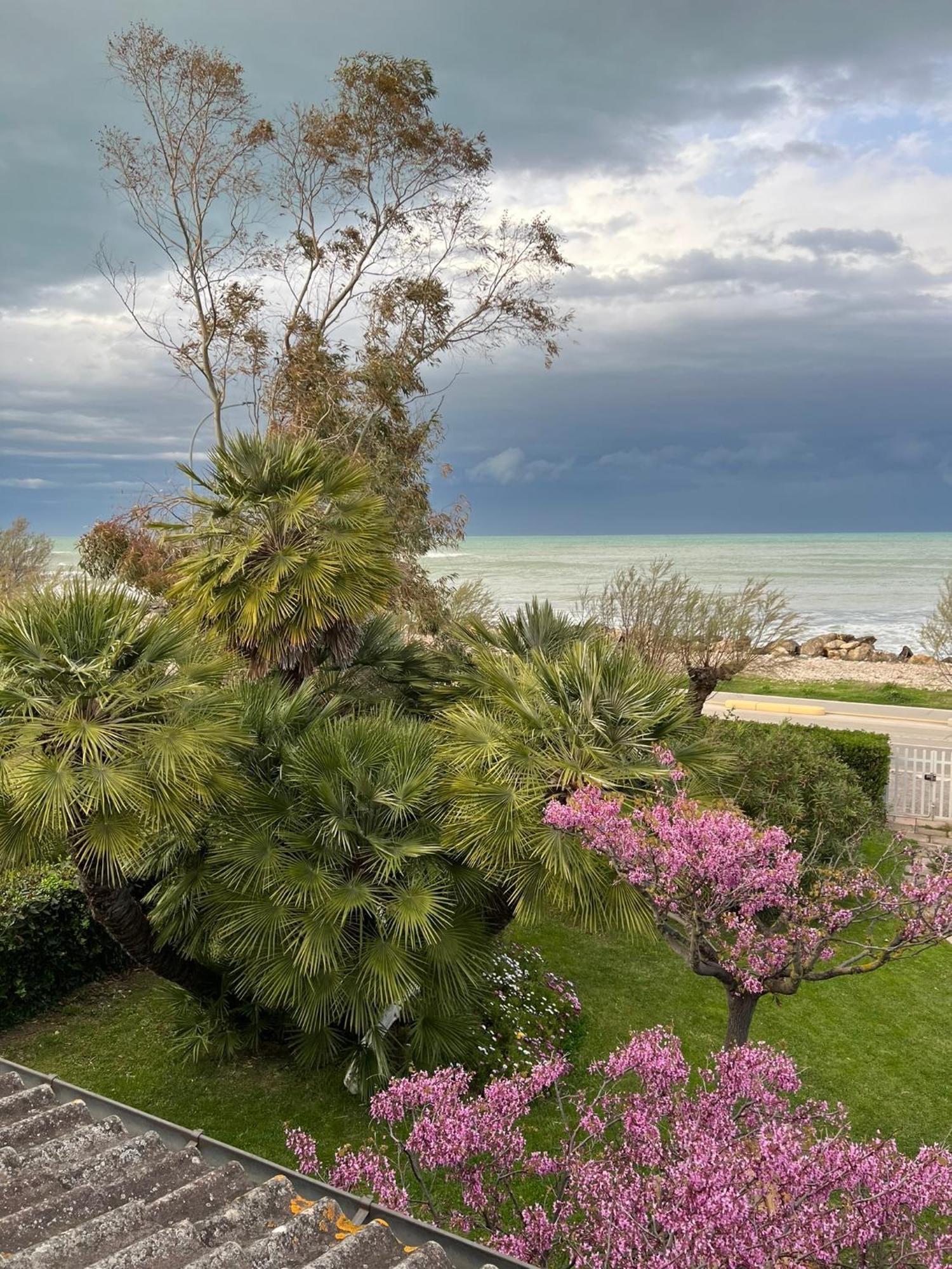 B&B I Versi Del Mare Roseto Degli Abruzzi Dış mekan fotoğraf
