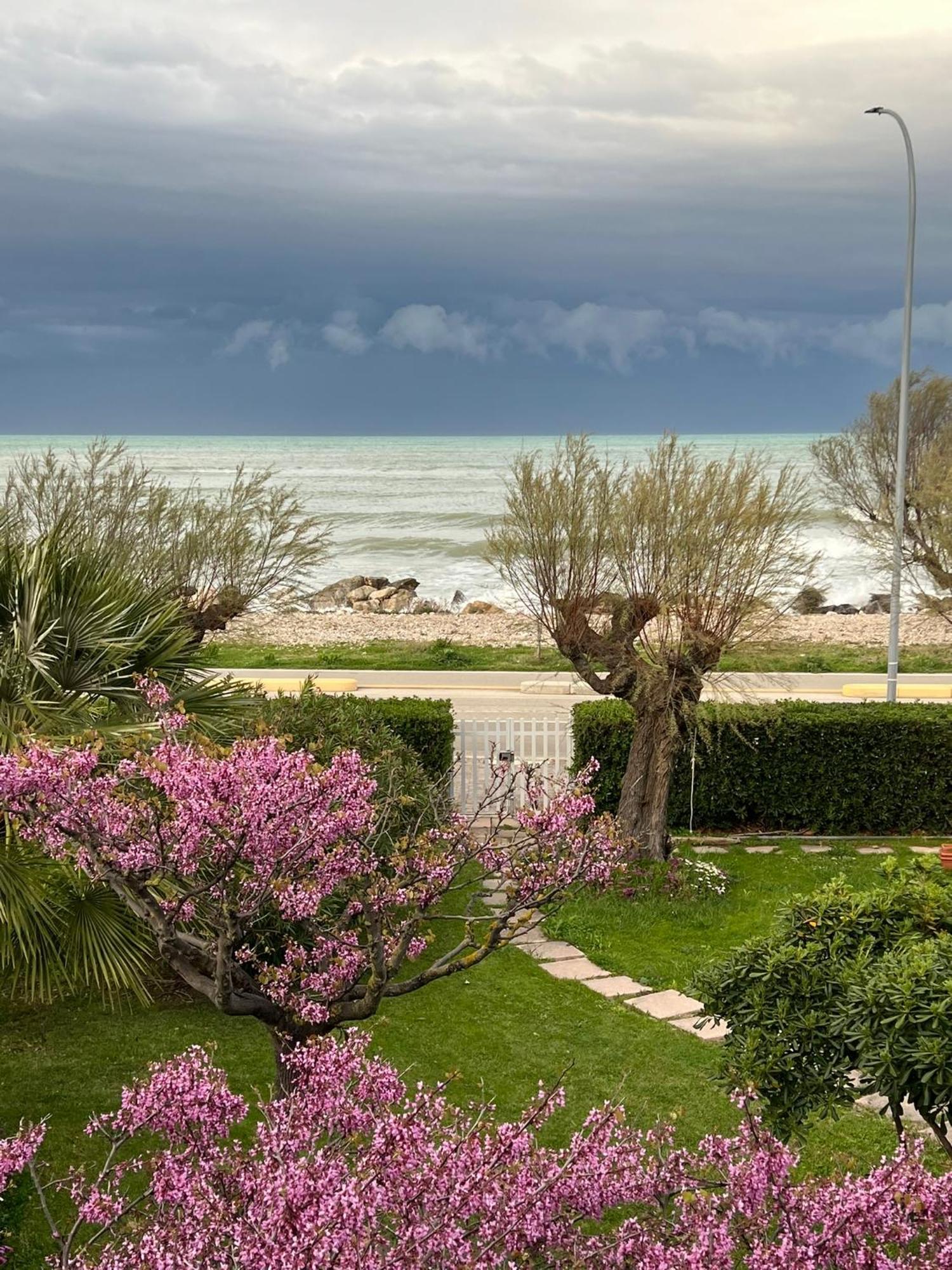 B&B I Versi Del Mare Roseto Degli Abruzzi Dış mekan fotoğraf